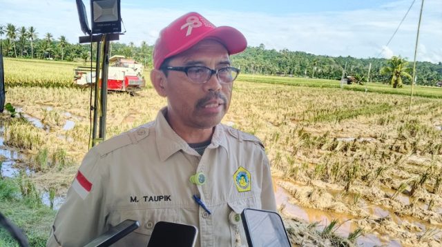 Kepala Distanak Kukar, Muhammad Taufik