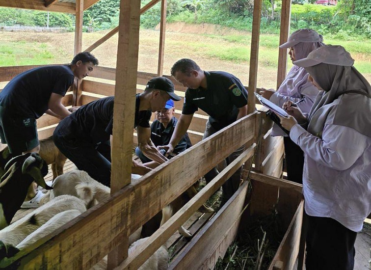 Penyerahan Bantuan Ternak Kambing dari Distanak Kukar