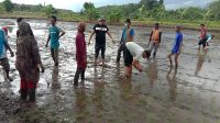 Aktivitas Petani Muda di Muara Jawa