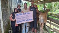 Penyerahan Bantuan Ternak Sapi