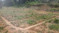 Lahan Siap Tanam di Kecamatan Tenggarong, Kabupaten Kukar