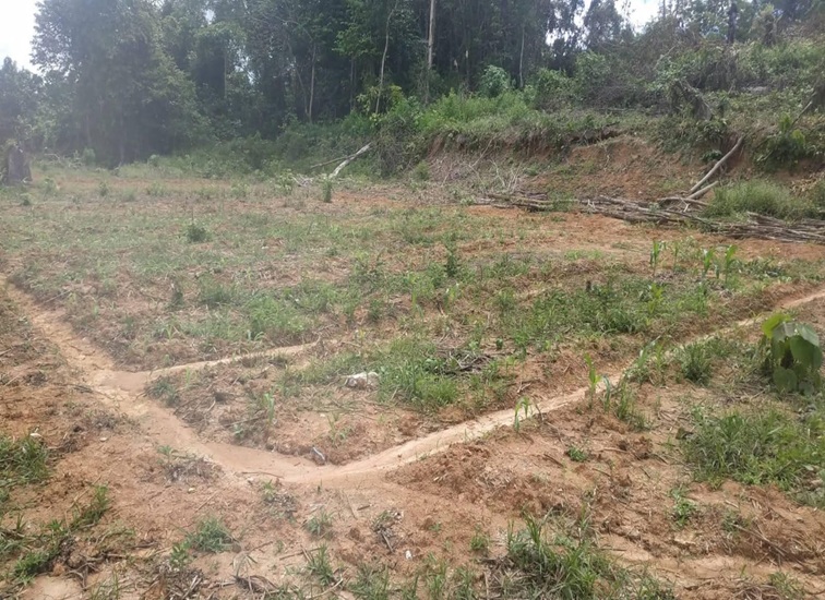 Lahan Siap Tanam di Kecamatan Tenggarong, Kabupaten Kukar