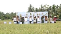 Kepala Distanak Kukar, Bupati dan Forkopimda Hadiri Panen Raya di Kelurahan Bukit Biru
