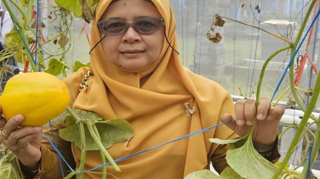 Staf Bidang Peternakan dan Kesehatan Hewan Distanak Kukar, Nelva Aflinda
