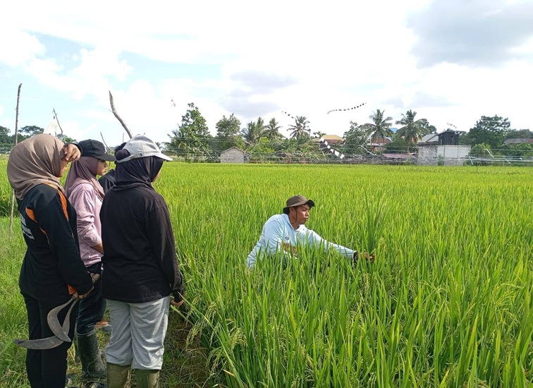 Kegiatan Petani Muda di Samboja