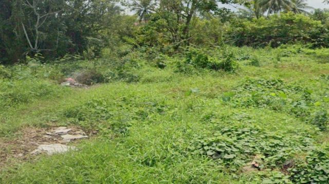 Lahan Tidur di Desa Loa Kulu Kota