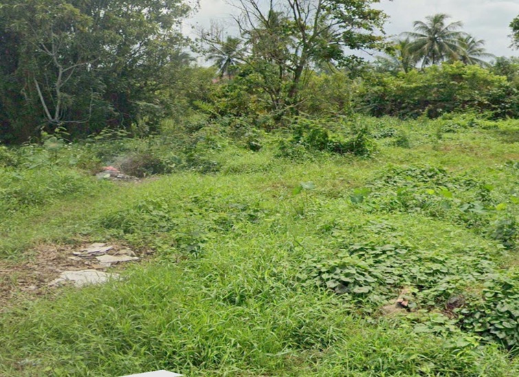 Lahan Tidur di Desa Loa Kulu Kota