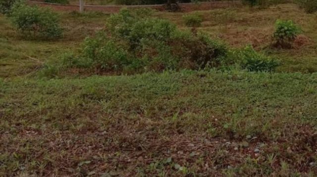 Lahan Tidur di Samboja