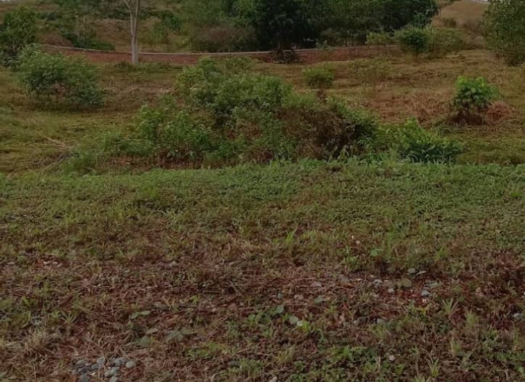 Lahan Tidur di Samboja