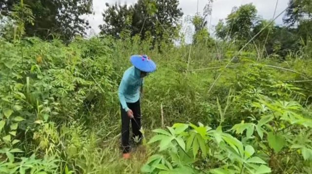 Keseharian Petani di Kukar