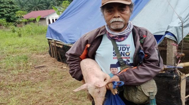 Salah Satu Penerima Bantuan Ternak Babi dari Distanak Kukar