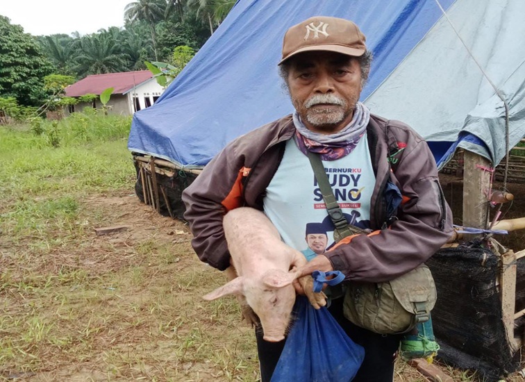 Salah Satu Penerima Bantuan Ternak Babi dari Distanak Kukar