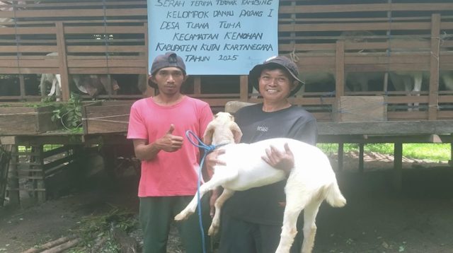Serah Terima Bantuan Ternak Kambing dari Distanak Kukar