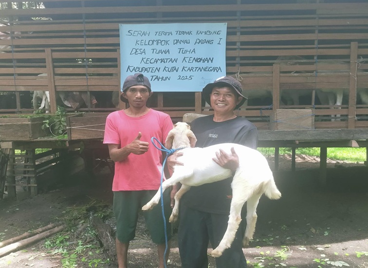 Serah Terima Bantuan Ternak Kambing dari Distanak Kukar
