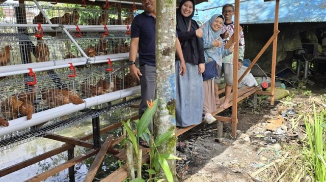 Bantuan Ayam Petelur, kandang galvanis dan pakan.