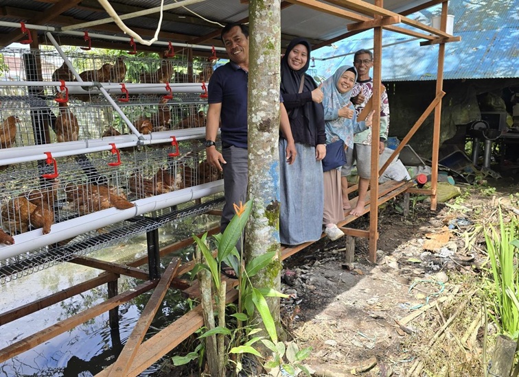 Bantuan Ayam Petelur, kandang galvanis dan pakan.
