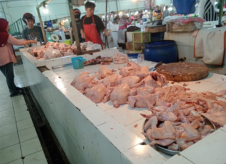 Daging Ayam di Pasar Mangkurawang. (Lingkar Kaltim/M. As'ari)