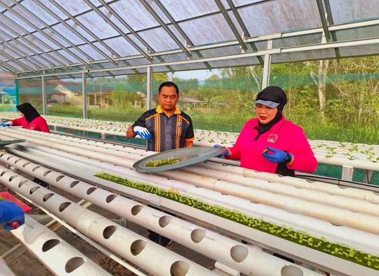 Kapolsek Loa Kulu, AKP Hari Supranoto, bersama Ketua Bhayangkari Ranting Loa Kulu, Ny. Linda Hari melakukan penanaman di Green House, Senin (22/6/26). (Doc. Polsek Loa Kulu)