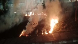 Situasi kebakaran sampah yang meleber di area taman jalur Jalan Robert Wolter Monginsidi, Kamis (25/6/26). (Doc. Disdamkarmatan Kukar)