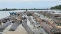 Gelondongan kayu yang ditemukan satpolairud Kukar, Jumat (10/7/26) (Doc. Satpolairud Kukar)