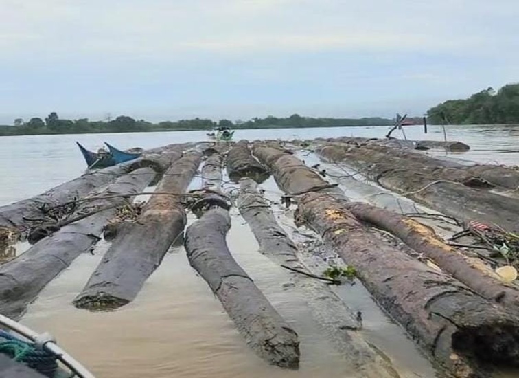 Gelondongan kayu yang ditemukan satpolairud Kukar, Jumat (10/7/26) (Doc. Satpolairud Kukar)