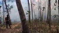 Situasi Kondisi terkini lahan terbakar di Jembayan Tengah Jalan Alhidayah, Kec. Loa Kulu, Kukar, Jumat (10/7/26).