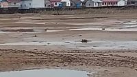 Kondisi danau di sekitar pemukiman warga Desa Melintang, Muara Wis, yang mengering (Doc. Facebook Kec. Muara Wis)