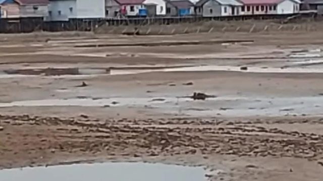 Kondisi danau di sekitar pemukiman warga Desa Melintang, Muara Wis, yang mengering (Doc. Facebook Kec. Muara Wis)