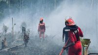 Kondisi lahan di Jl. Kawasan RT 09 Kel. Jawa, Kec. Sanga-sanga yang dilalap sijago merah, Jumat (10/7/26). (Doc. Disdamkar Matan Kukar)