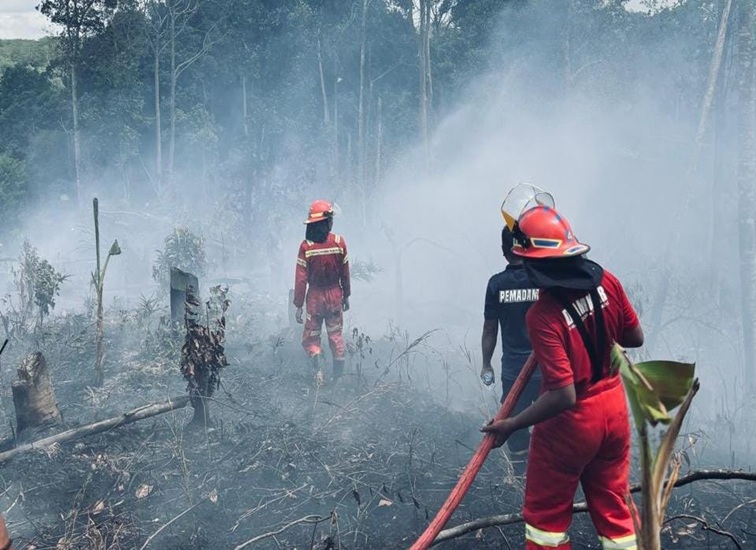 Kondisi lahan di Jl. Kawasan RT 09 Kel. Jawa, Kec. Sanga-sanga yang dilalap sijago merah, Jumat (10/7/26). (Doc. Disdamkar Matan Kukar)