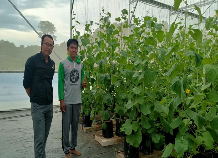 Green House Melon Premium, Senin (20/7/2026) (Rizki/Lingkarkaltim)