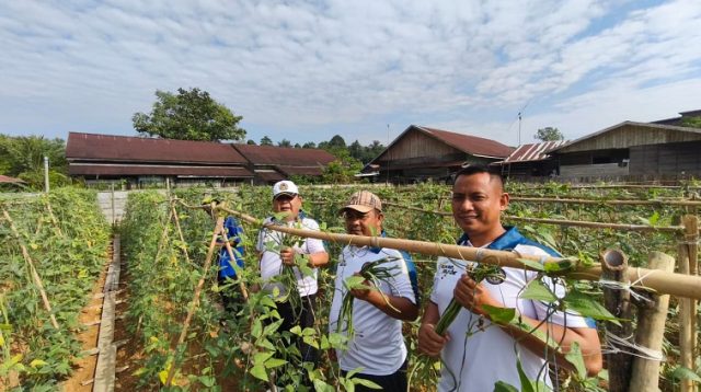 Kakanwil Ditjenpas Kalimantan Timur, Endang Lintang Hardiman (dua dari kiri), memanen kacang panjang bersama Kalapas Kelas IIA Tenggarong, Sabtu (25/7/2026). (Doc. Humas Lapas Kelas IIA Tenggarong)