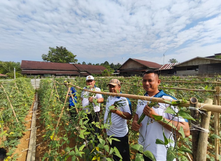 Kakanwil Ditjenpas Kalimantan Timur, Endang Lintang Hardiman (dua dari kiri), memanen kacang panjang bersama Kalapas Kelas IIA Tenggarong, Sabtu (25/7/2026). (Doc. Humas Lapas Kelas IIA Tenggarong)