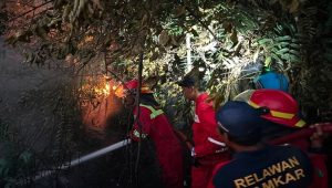 Personel pemadam kebakaran saat berupaya memadamkan kobaran karhutla di kawasan Kecamatan Sanga-Sanga. (Doc. Disdamkarmatan Kukar).