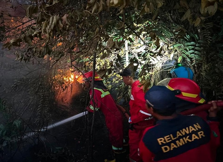 Personel pemadam kebakaran saat berupaya memadamkan kobaran karhutla di kawasan Kecamatan Sanga-Sanga. (Doc. Disdamkarmatan Kukar).
