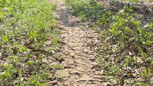 Jalan Usaha Tani Rusak