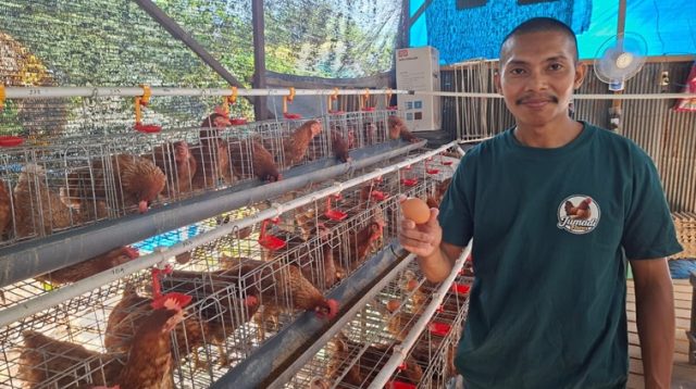Hartoni selaku owner di kandang ayam telur miliknya," Jumadi Farm", Rabu (19/8/26). (Dilla/lingkarkaltim)