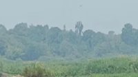 Kabut Asap terlihat di kawasan Hutan Kecamatan Muara Muntai. (Doc. Tangkapan Layar Facebook)