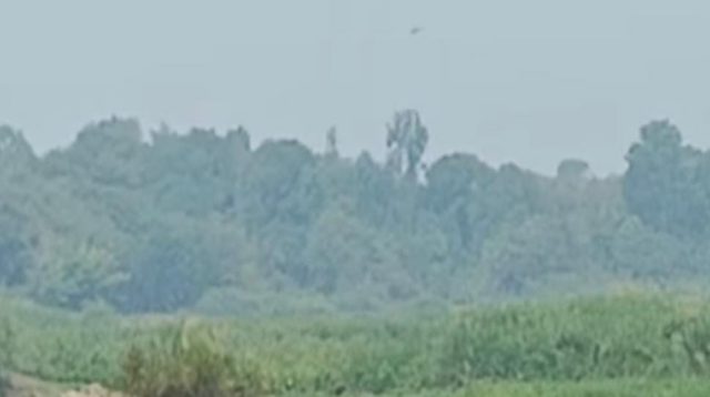 Kabut Asap terlihat di kawasan Hutan Kecamatan Muara Muntai. (Doc. Tangkapan Layar Facebook)