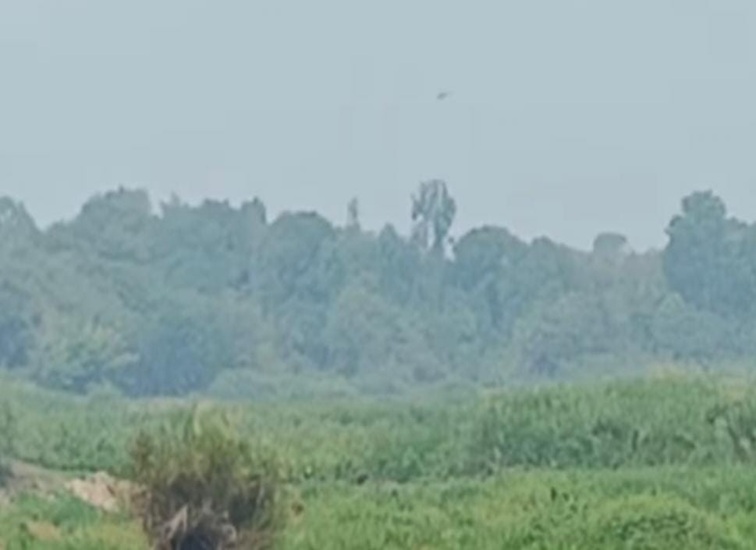Kabut Asap terlihat di kawasan Hutan Kecamatan Muara Muntai. (Doc. Tangkapan Layar Facebook)