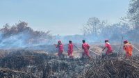 Upaya pemadaman karhutla di Kec. Sanga-sanga, Desa Pendingin oleh tim gabungan, Senin (24/8/26). (Doc. Gunawan Pos Sektor Damkarmatan Sanga-sanga)