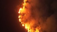 Kawasan hutan Sanga Sanga yang terbakar pada malam hari pantau drone, Rabu (26/8/26). (Doc. Disdamkarmatan Kukar)