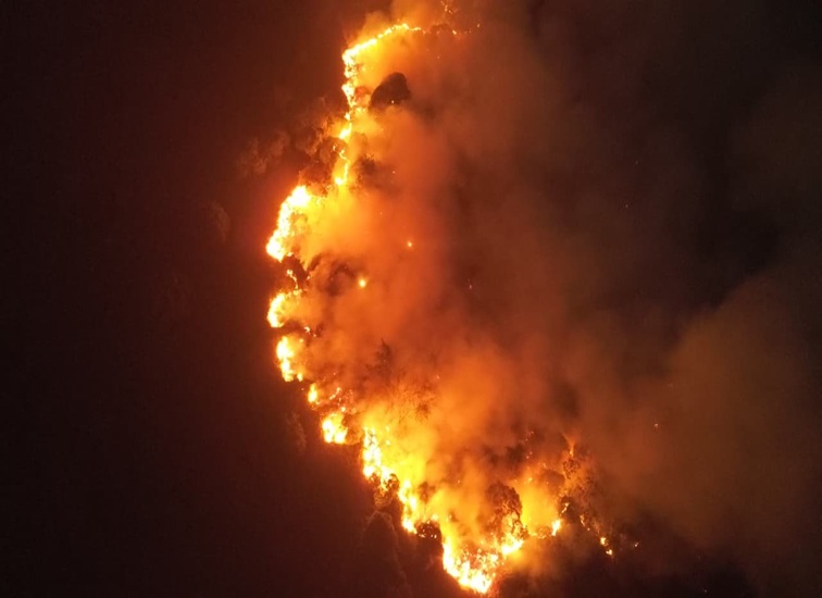 Kawasan hutan Sanga Sanga yang terbakar pada malam hari pantau drone, Rabu (26/8/26). (Doc. Disdamkarmatan Kukar)