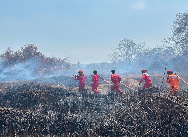 Upaya pemadaman karhutla di Kec. Sanga-sanga, Desa Pendingin oleh tim gabungan, Senin (24/8/26). (Doc. Gunawan Pos Sektor Damkarmatan Sanga-sanga)