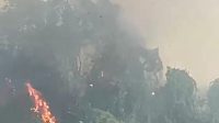 Tangkapan layar kebakaran pohon besar di hutan dekat RSUD Parikesit, Tenggarong Seberang, Senin (3/8/26). (Doc. Nurdiansyah)