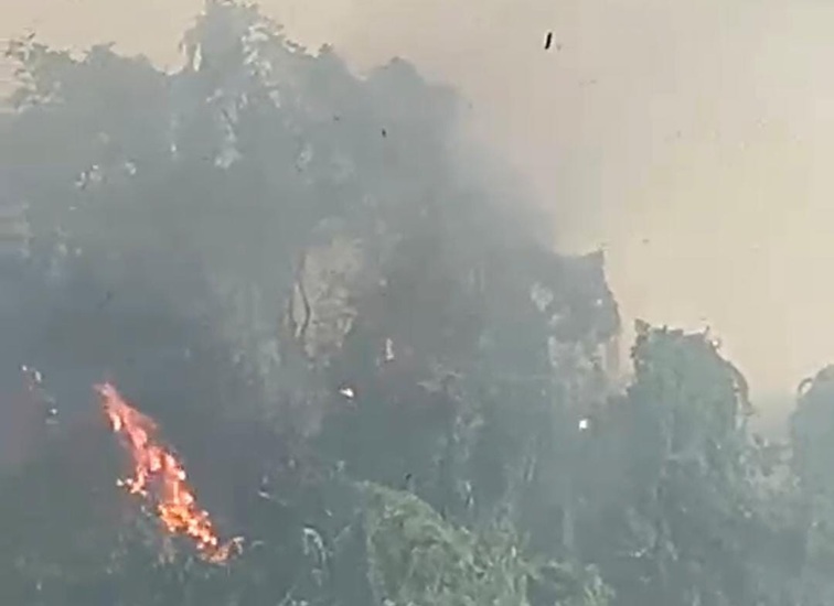 Tangkapan layar kebakaran pohon besar di hutan dekat RSUD Parikesit, Tenggarong Seberang, Senin (3/8/26). (Doc. Nurdiansyah)