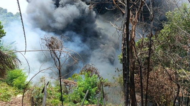 Kebakaran lahan di KM 10 jalan poros Samarinda-Tenggarong.(Dok.Disdamkarmatan Kukar)