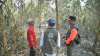Menteri Kehutanan Raja Antoni, meninjau langsung penanganan kebakaran hutan dan lahan (karhutla) di Kabupaten Banjar, Kalimantan Selatan, Minggu, ( 23/8/2026) (Dok. kehutanan.go.id)