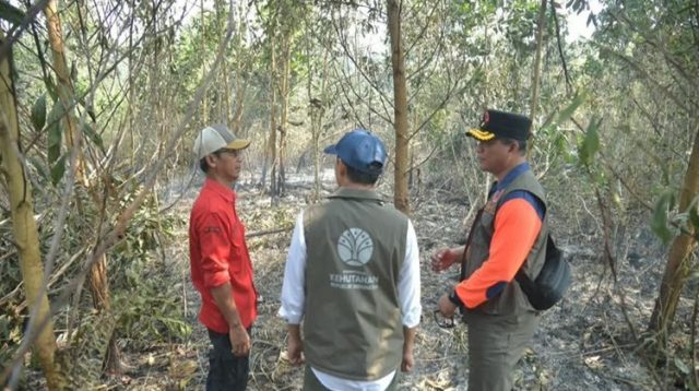 Menteri Kehutanan Raja Antoni, meninjau langsung penanganan kebakaran hutan dan lahan (karhutla) di Kabupaten Banjar, Kalimantan Selatan, Minggu, ( 23/8/2026) (Dok. kehutanan.go.id)