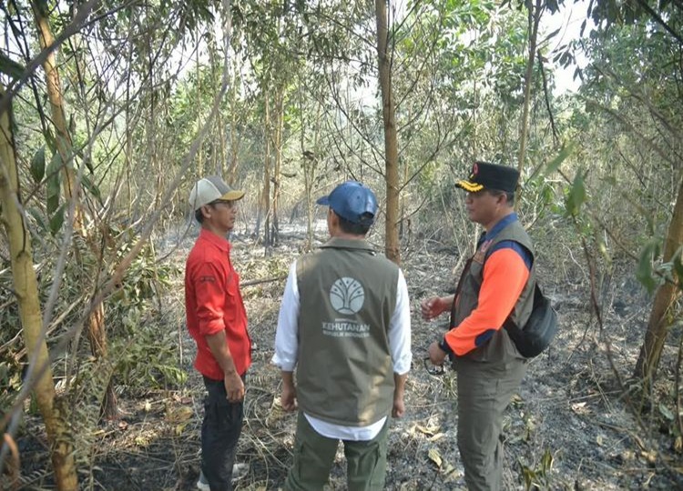 Menteri Kehutanan Raja Antoni, meninjau langsung penanganan kebakaran hutan dan lahan (karhutla) di Kabupaten Banjar, Kalimantan Selatan, Minggu, ( 23/8/2026) (Dok. kehutanan.go.id)